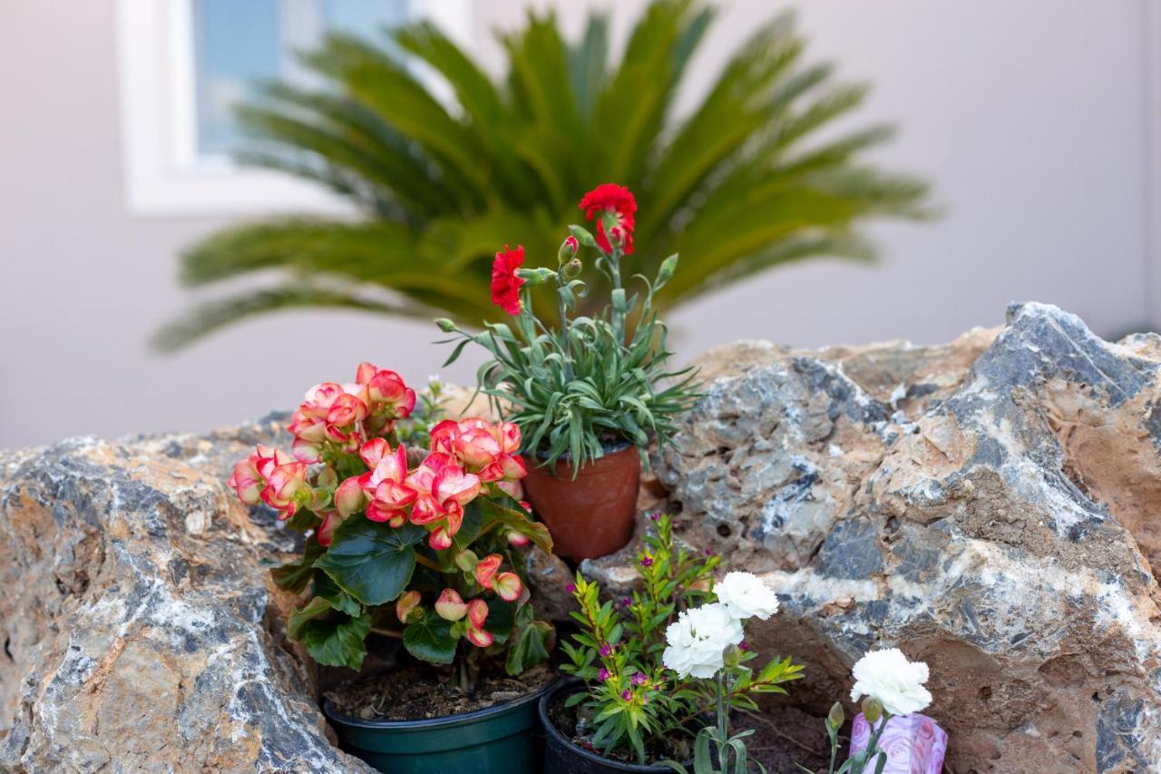 Nightingale Villa & Suites Corfu Gazátika Dış mekan fotoğraf